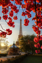 Eiffel Tower with spring tree in Paris, France