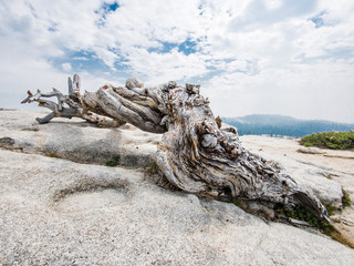 Fototapeta premium Yosemite