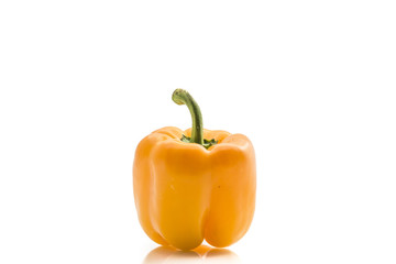 yellow pepper on white background