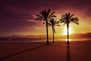Cullera Playa los Olivos beach sunset in Valencia