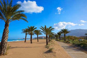 Denia beach Las Marinas with palm trees Alicante