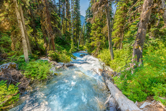 Majestic mountain river in Canada. Upper Joffre Lake Trail in British Columbia.