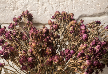 Bouquet of dried pink colored roses closeup
