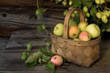 Basket full of apples, hops on a wooden background