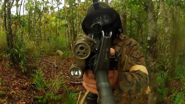 Point of view shot of man shooting with rifle in forest