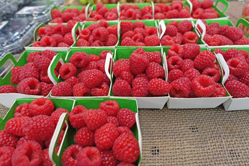 des framboises © helenedevun