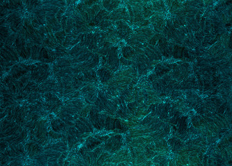  aquamarine  background with floral patterns.