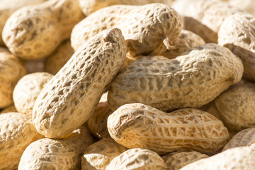 peanuts in shell
