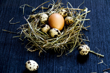 Easter quail eggs on the hay and black background.