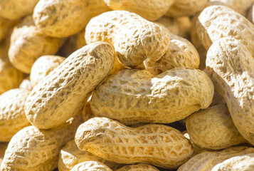 peanuts in shell