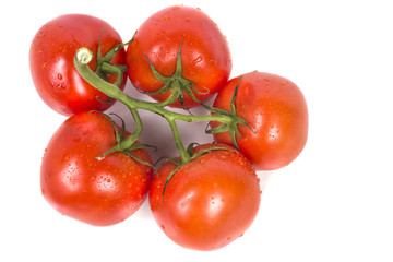 flower from a branch ripe tomato