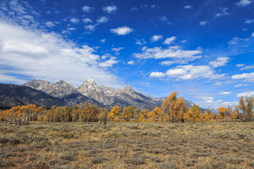 Perfect sky above the Teton Range