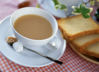 ホットミルクティー