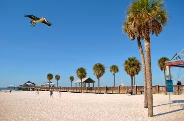 Cercles muraux Clearwater Beach, Floride Jetée 60 Clearwater Beach Floride