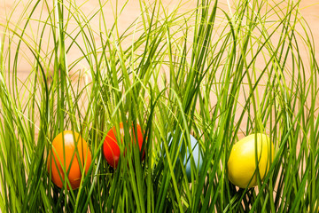 Easter eggs hidden in tall grass