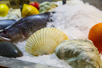 Large scallop shell on the counter with ice.