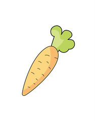 Sweet Carrot