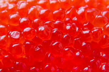 Red caviar of chum salmon, background