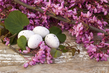 Easter eggs and flowering branch.