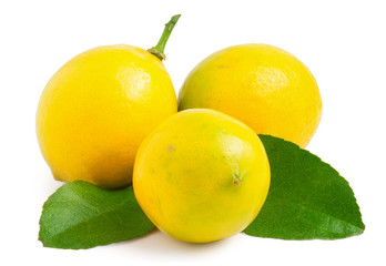 Three lemons on the white background isolated