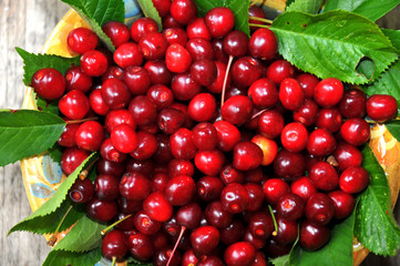 Wild Cherries