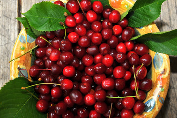 Small wild cherries and their leaves in a bowl