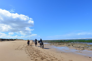 Atlantikküste Nahe Essaouira 