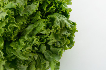 Green leaf Lettuce