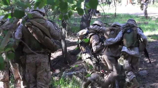 Marines evacuate wounded and injured through a forest.