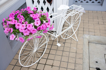 Fototapeta na wymiar The white classic bike with pink flowers in basket on street floor