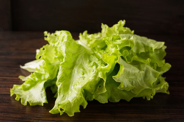  lettuce on a wooden background