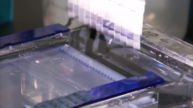 At the U.S. Government&rsquo;s Genome Sequencing Center, DNA is analyzed in the lab.