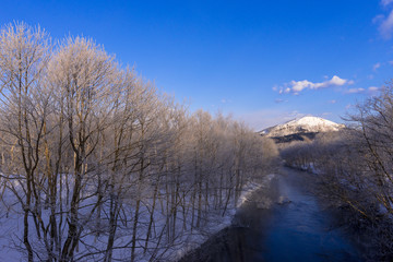 霧氷のある川の風景