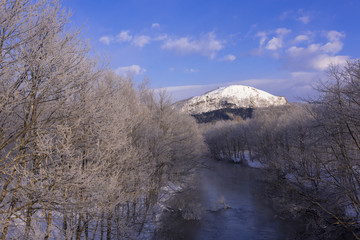 霧氷のある川の風景