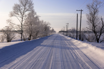 霧氷と雪道