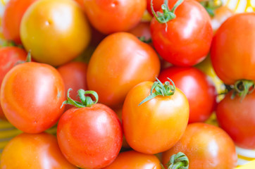 many tomatoes in basket