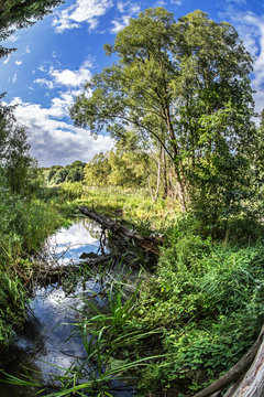 Im Naturschutzgebiet Biesenthaler Becken im Barnim