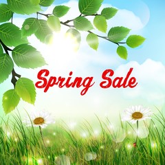 Fototapeta premium Natural background with word spring sale