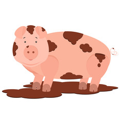 Cute pig dirty in mud. Isolated. White background.