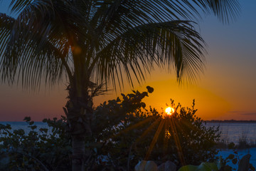 Obraz na płótnie Canvas Palm Trees at Sunset