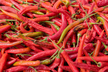 Close up big red chili pepper background.