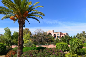 Fototapeta na wymiar Marrakesch Gärten im Frühling