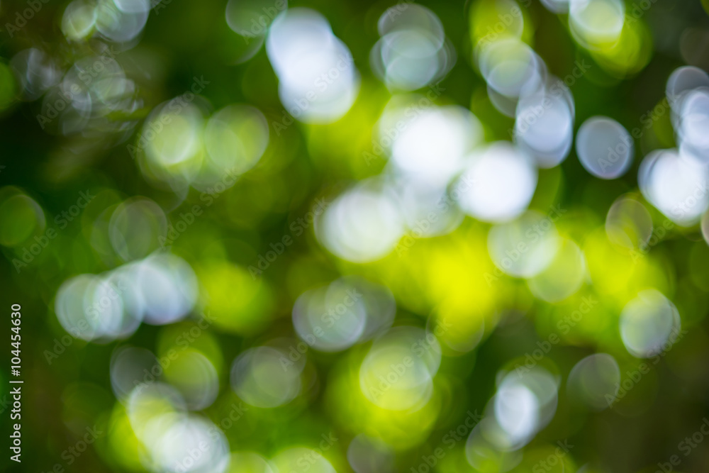 Canvas Prints bokeh background