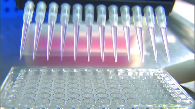 CDC scientists work in a lab to test for avian bird flu.