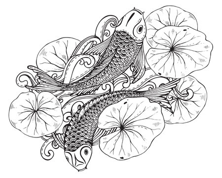 Hand drawn vector illustration of two Koi fishes with lotus leav