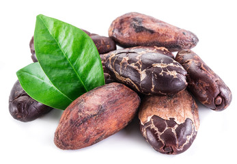 Cocoa beans on a white.
