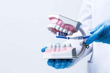 Gloved hand holding dental tools