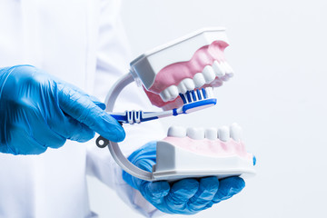 Gloved hand holding dental tools