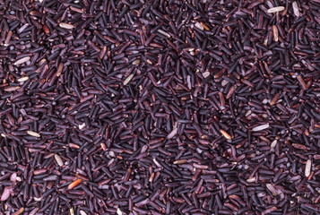 close up of rice berry grains