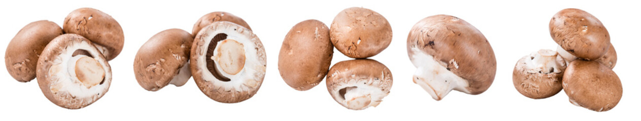 Fresh Mushrooms (selective focus) isolated on white